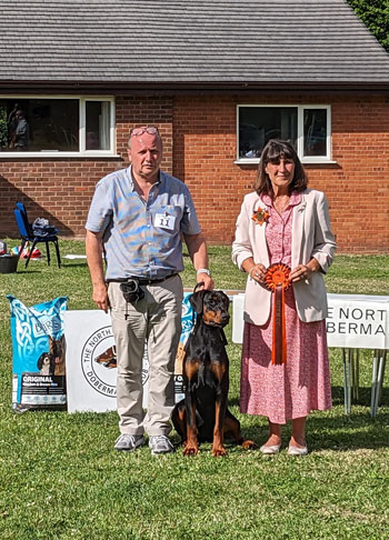 BEST PUPPY BITCH & Best Puppy in Show - Knecht Mileena BEST PUPPY BITCH & Best Puppy in Show - Knecht Mileena