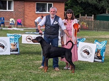 BEST VETERAN DOG & Best Veteran in Show - Malibray Rhuvaal at Telenndu ShCM VW BEST VETERAN DOG & Best Veteran in Show - Malibray Rhuvaal at Telenndu ShCM VW