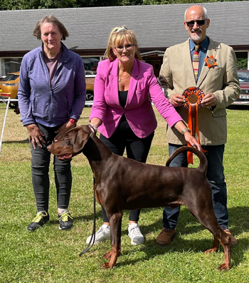 Best Puppy in Show - Krieger's Hunky Dory at Malibray Best Puppy in Show - Krieger's Hunky Dory at Malibray