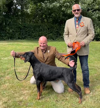 Best Veteran in Show - CH Ashlain Trypiti JW ShCM Best Veteran in Show - CH Ashlain Trypiti JW ShCM