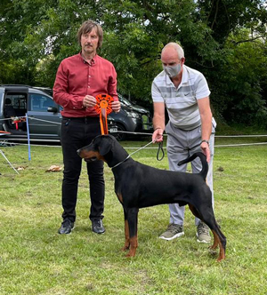 BEST PUPPY IN SHOW: Cockneyoka Dire Straits