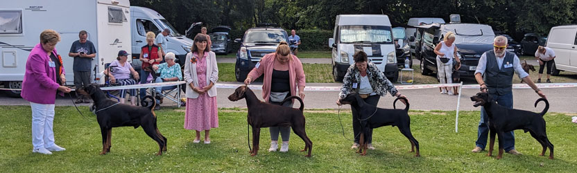 Dog main winners L-R DCC, RCC, BPD, BVD Dog main winners L-R DCC, RCC, BPD, BVD