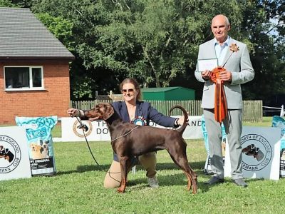 FB_IMG_1687971663108 BEST BITCH & Reserve Best in Show - CH / Lux CH Aritaur Sonnet