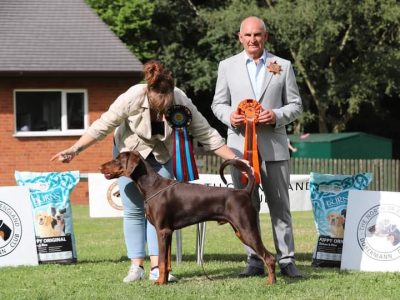 FB_IMG_1687971666554 BEST PUPPY DOG & Reserve Best Puppy in Show - Korifey Heartbreak to Sacaria