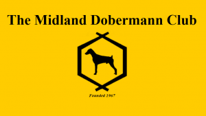 The Midland Dobermann Club