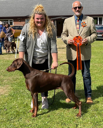 Reserve Best Puppy in Show - Krieger's Highland Fling Reserve Best Puppy in Show - Krieger's Highland Fling